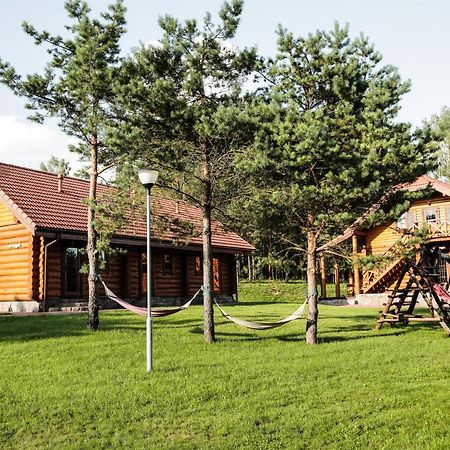 Penzion Asvejos Slenis Suzionys Exteriér fotografie